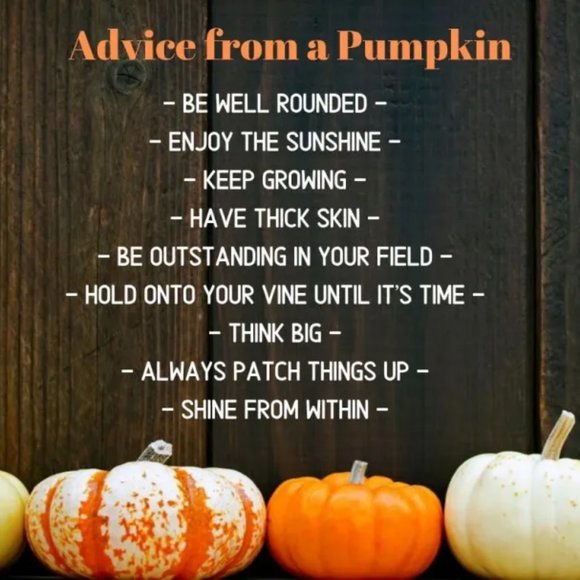 PEACE LOVE FALL POLYESTER GRAPHIC TEE 🌹 - Picture 2 of 2